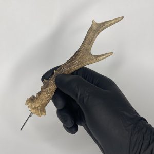 HORN HANDPOKE TOOL