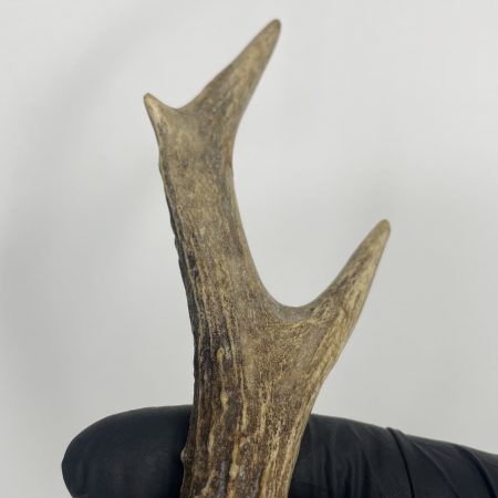 HORN HANDPOKE TOOL - Image 4